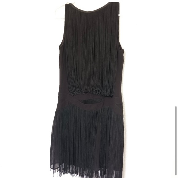Fringe and beaded drop waist dress - Picture 5 of 5